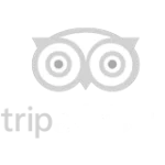 TripAdvisor-Logo.wine