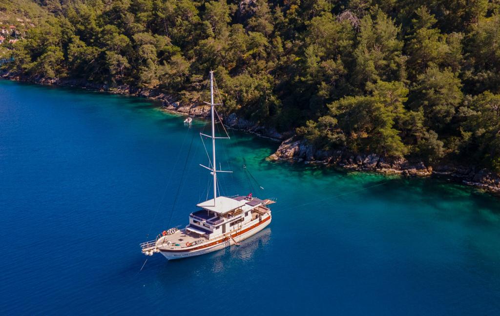 WhatsApp Image 2023-08-09 at 16.11.20