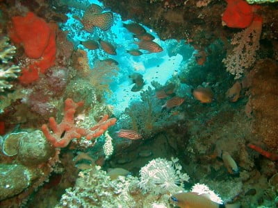 WhatsApp Image 2023-11-14 at 16.35.38_88a8bd38